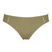 Salicorne
