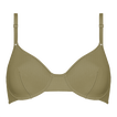 Salicorne