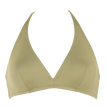 Alligator