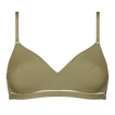 Salicorne