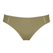 Salicorne