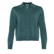 Menthe givr&eacute;e