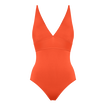 Rooibos