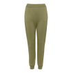 Salicorne