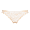 &Eacute;cume Rose