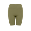 Salicorne