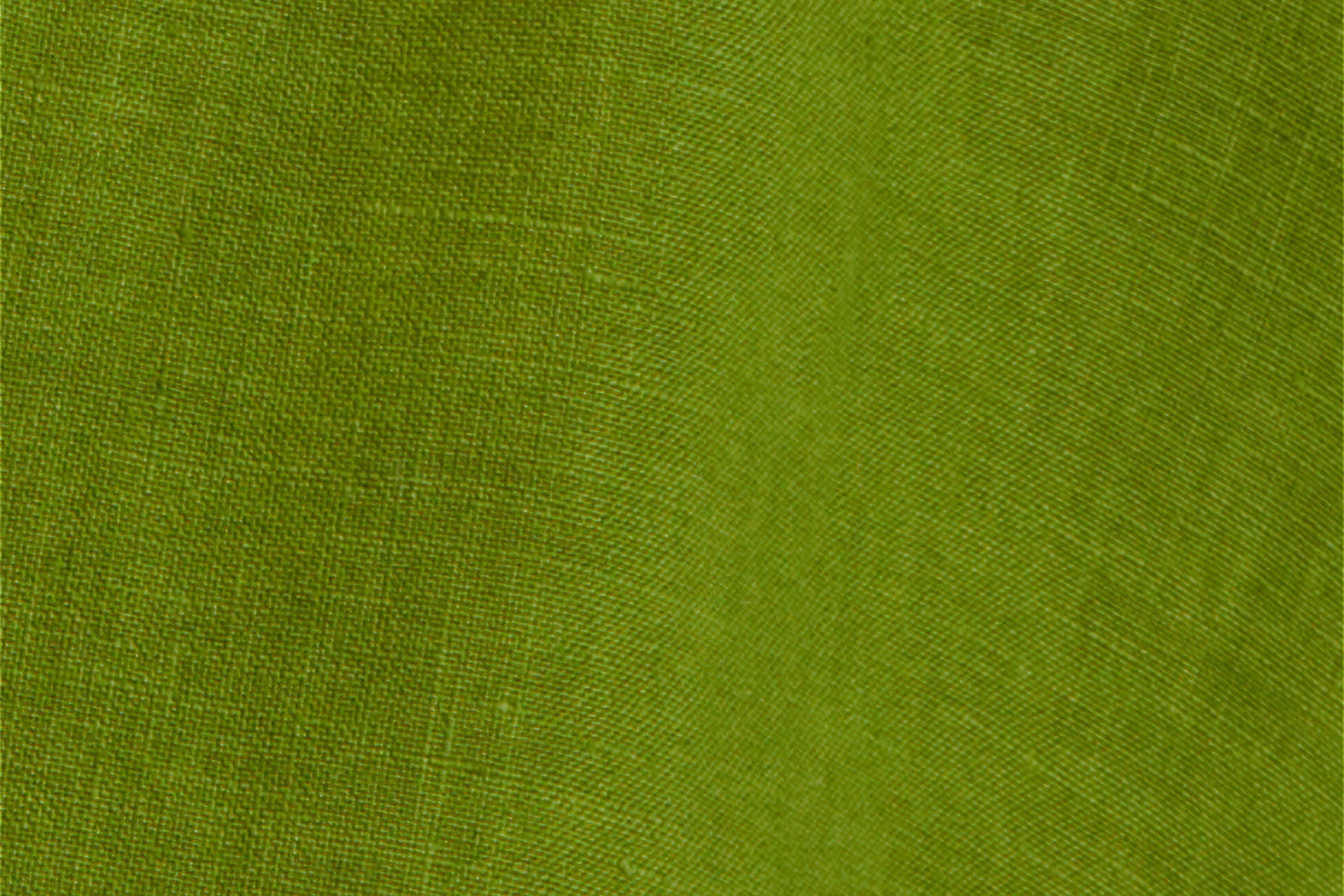 Mignonette Camicia standard vista NaN