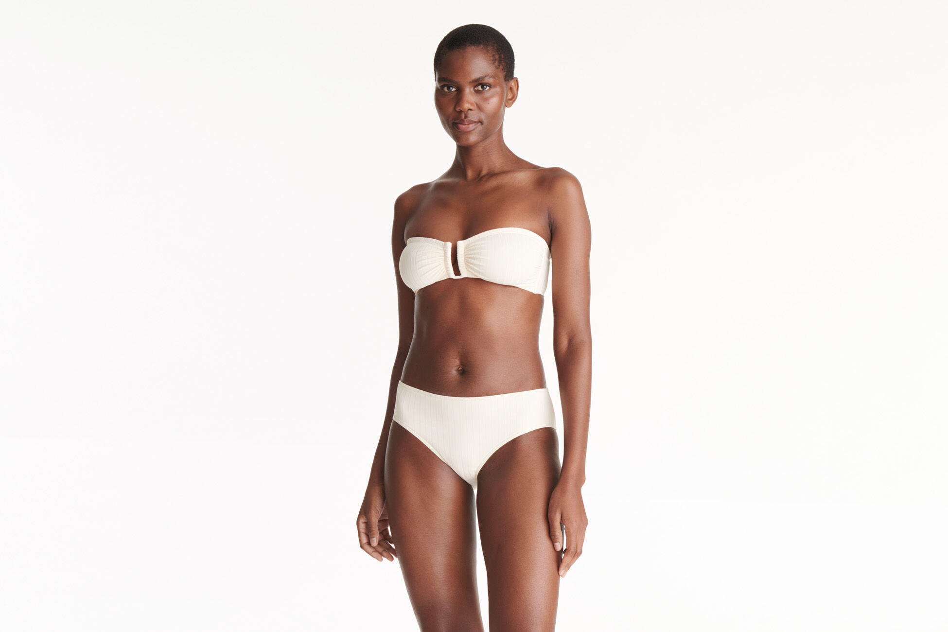Terra Brief standard view NaN