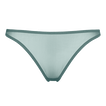 Menthe givr&eacute;e