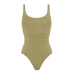 Alligator