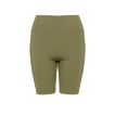 Salicorne