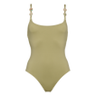 Alligator