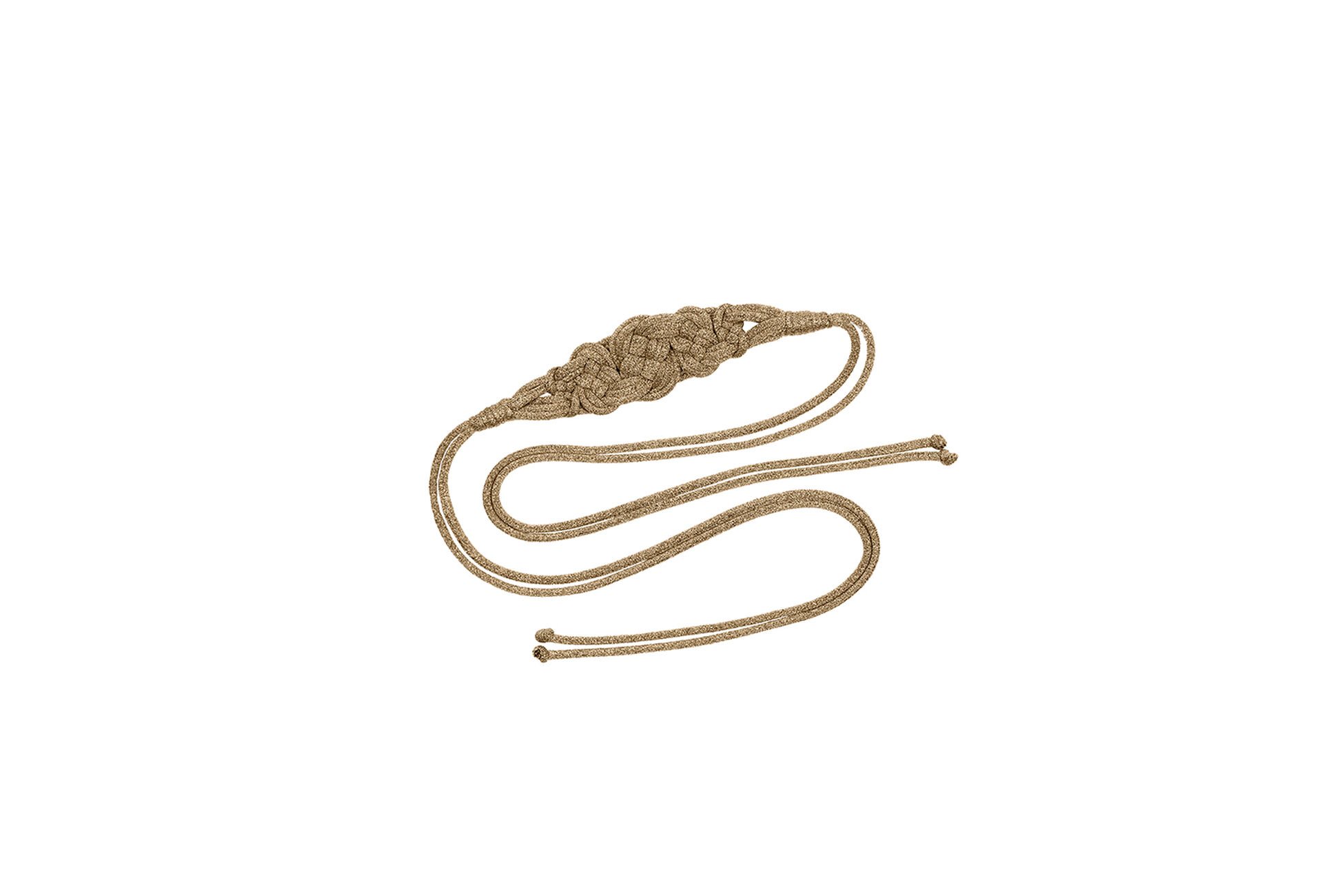 Palm lurex Belt standard view NaN