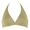 Alligator