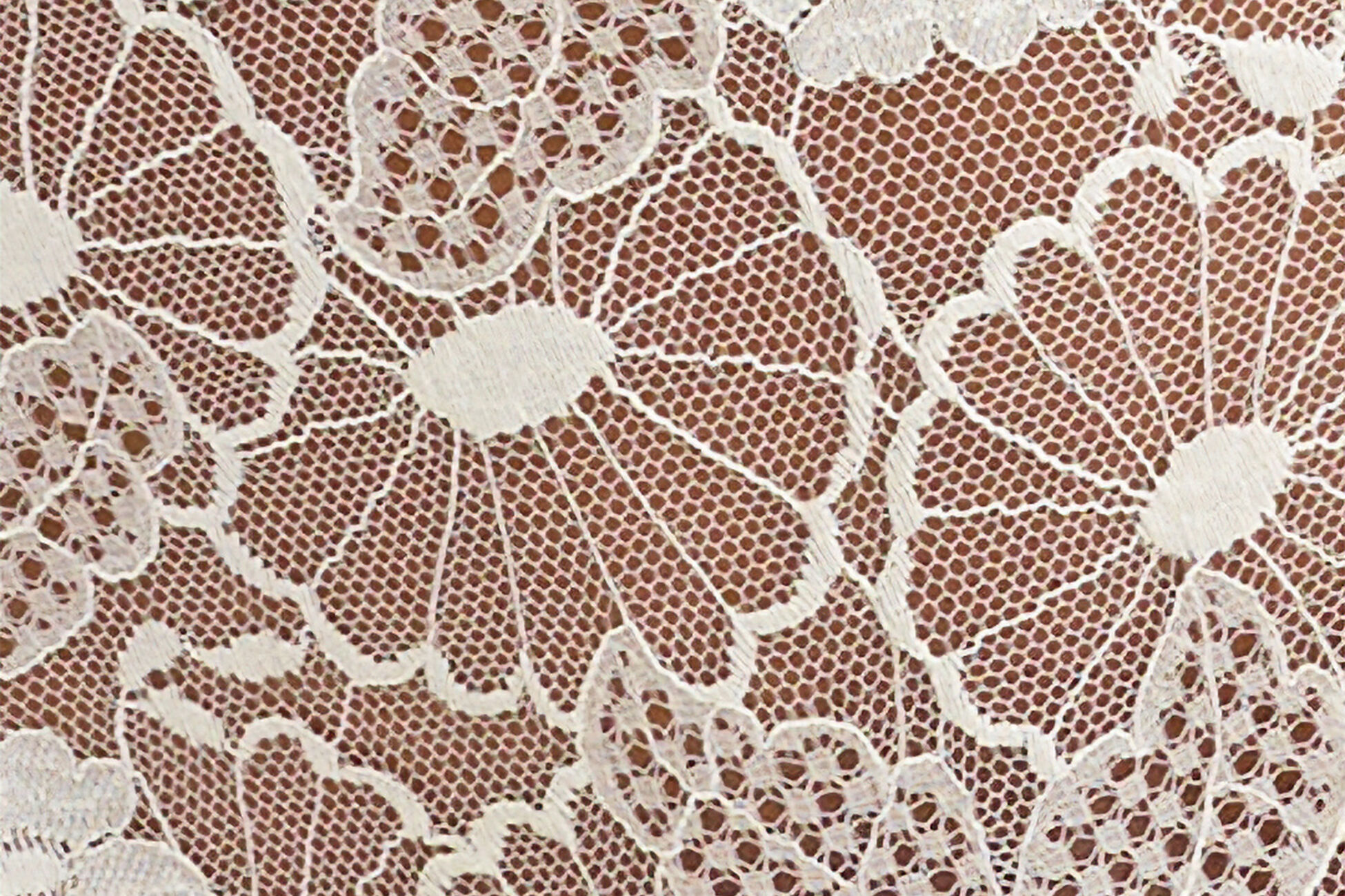 Acacia Hoch geschnittene Slip Standardansicht NaN