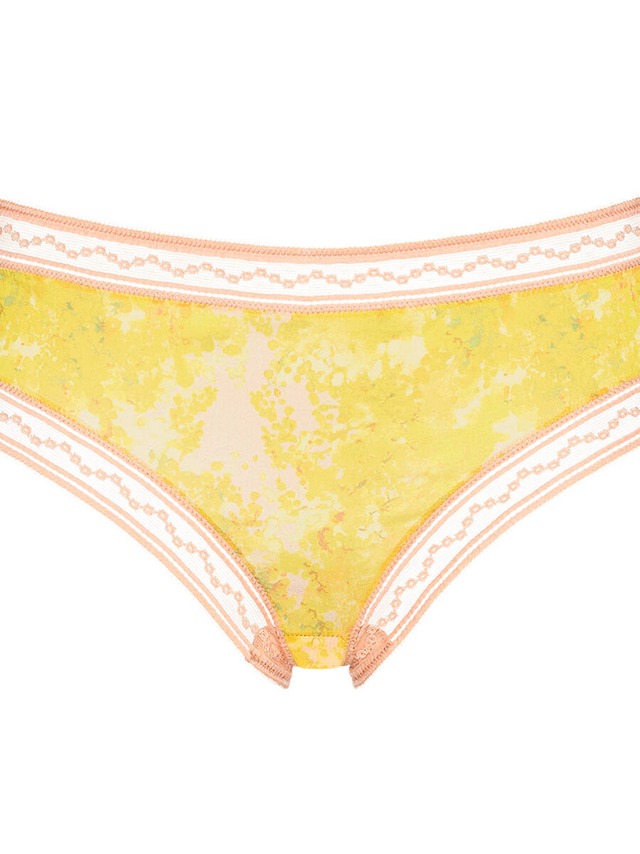 Feuille Tanga standard view NaN