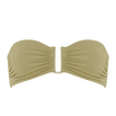Alligator