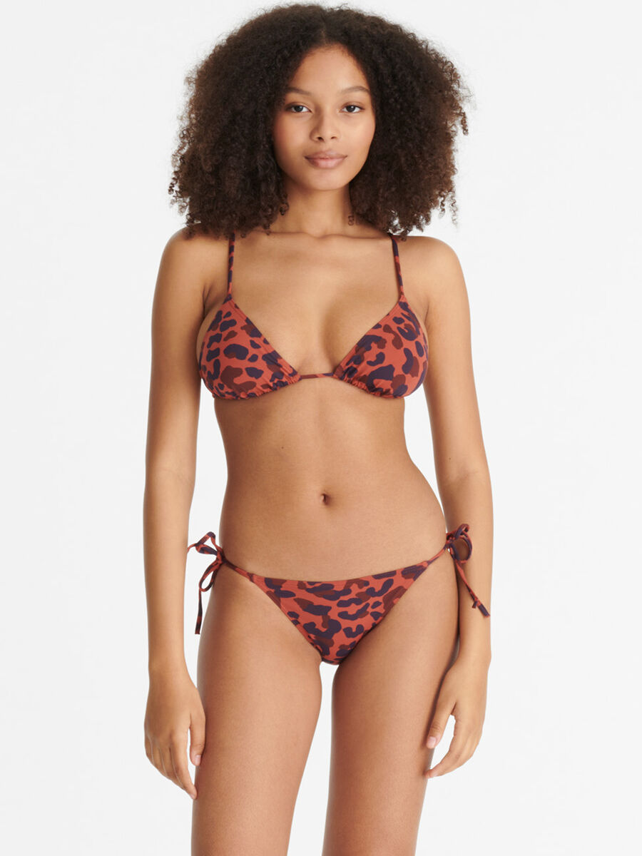 Cyprae Small triangle standard view �