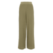 Salicorne