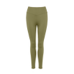 Salicorne