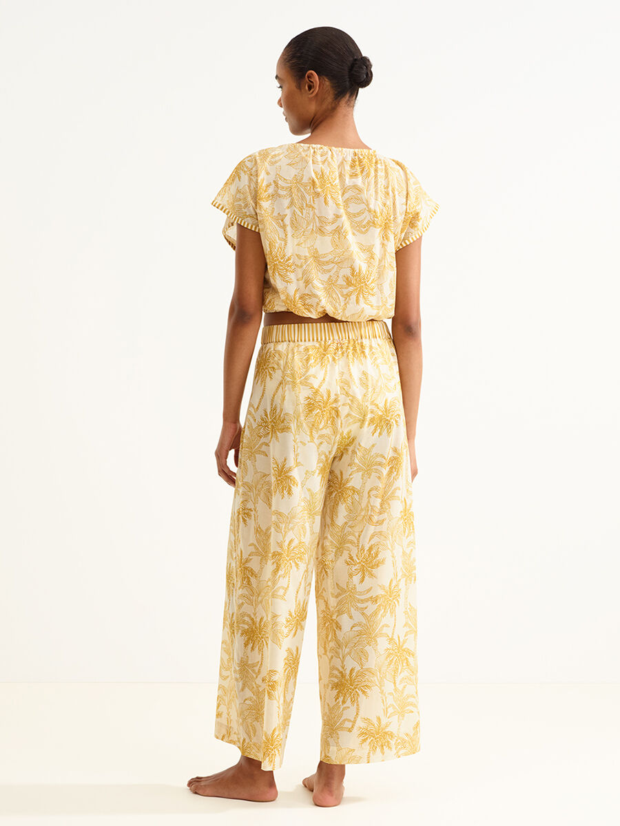 Crocodile Top standard view NaN