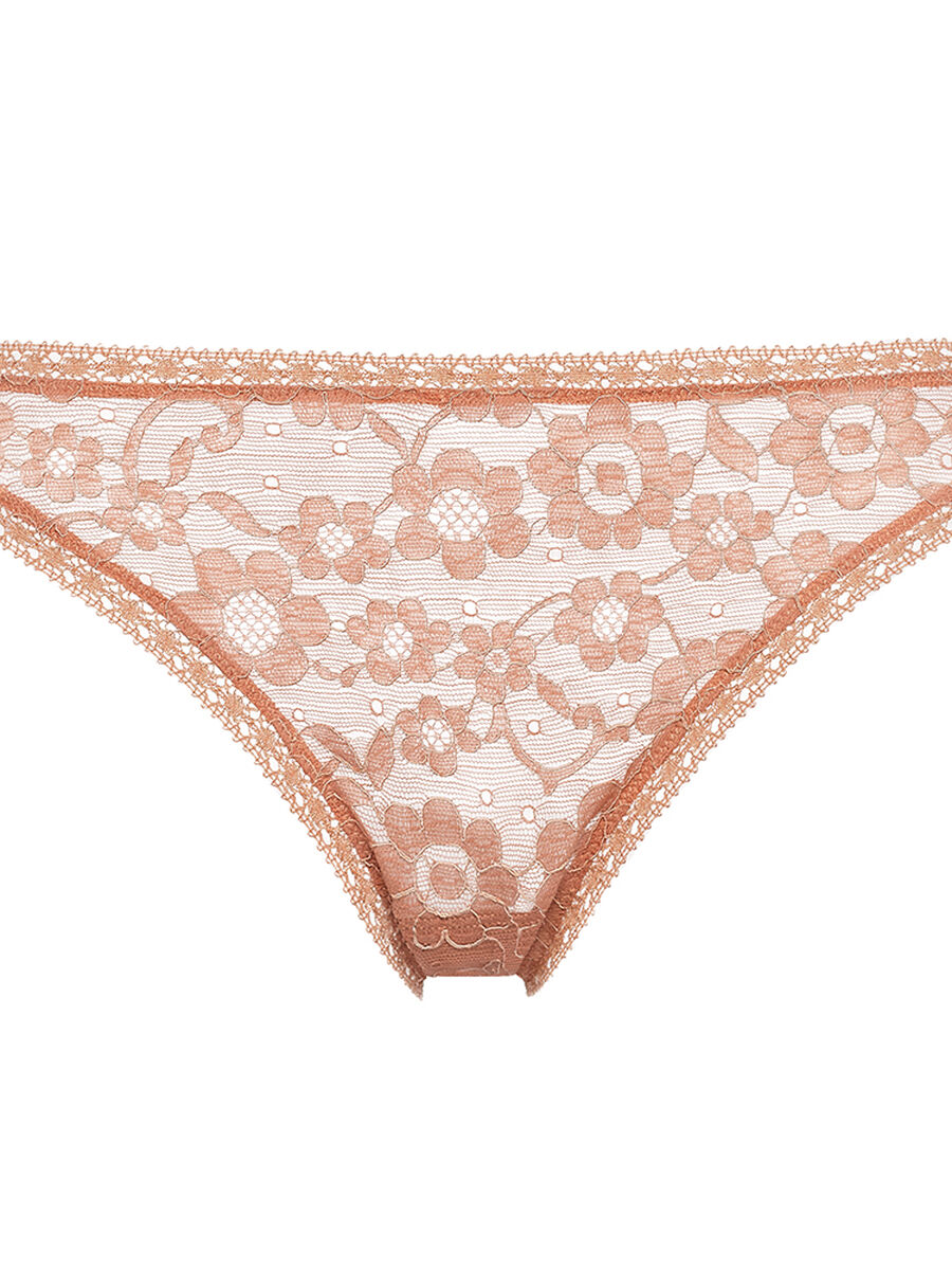 Savante Briefs standard view NaN