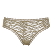 Salicorne