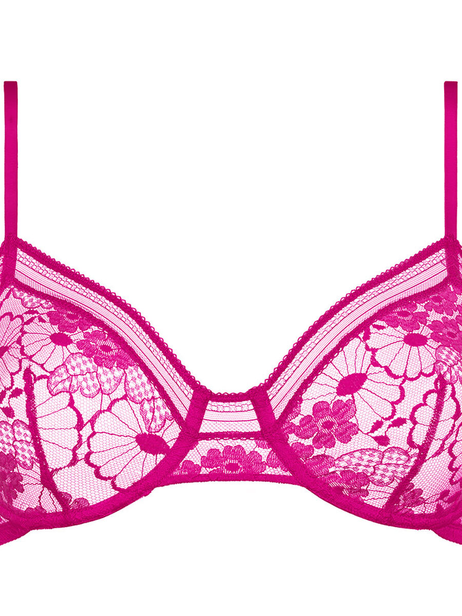 Chataigne Contenitivo standard vista NaN