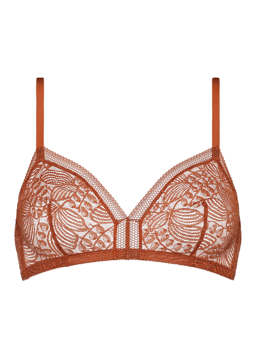 D&eacute;licieux Triangle bra standard view �