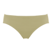 Alligator