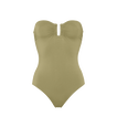 Alligator
