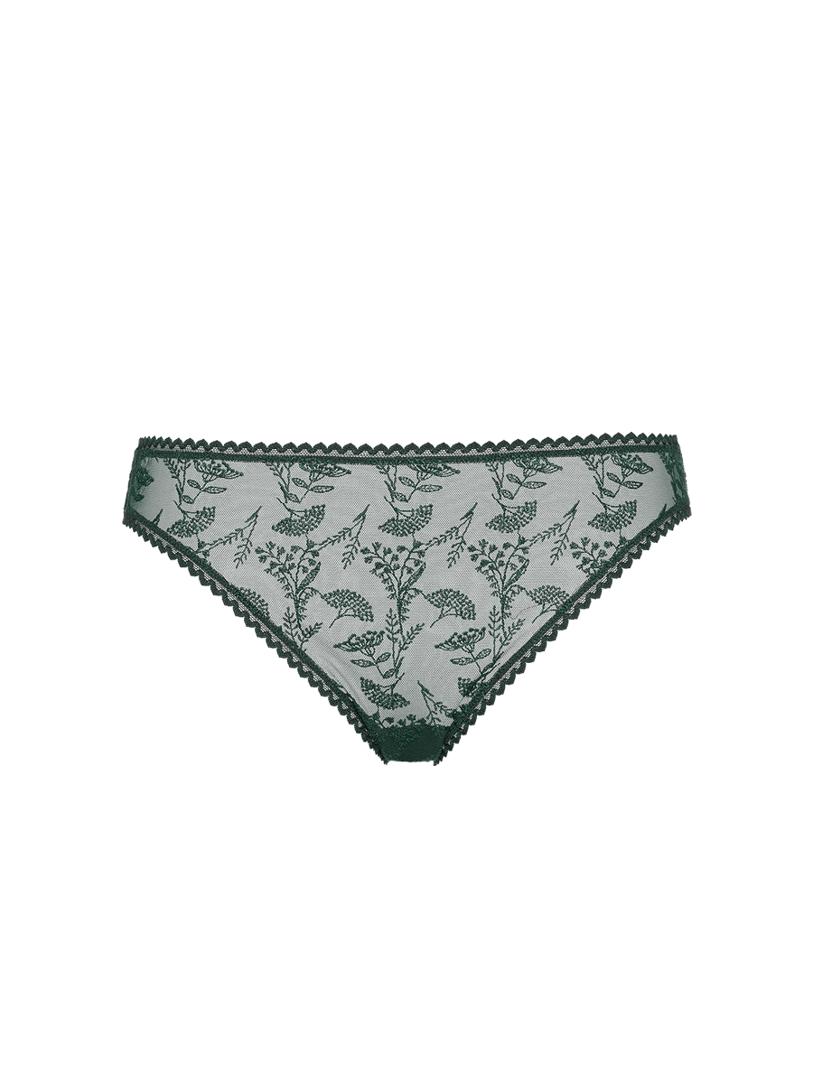 Bl&eacute; Slip standard vista 4 su 5