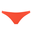 Rooibos