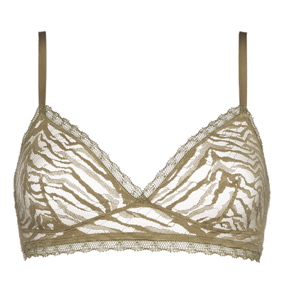Desert-Salicorne