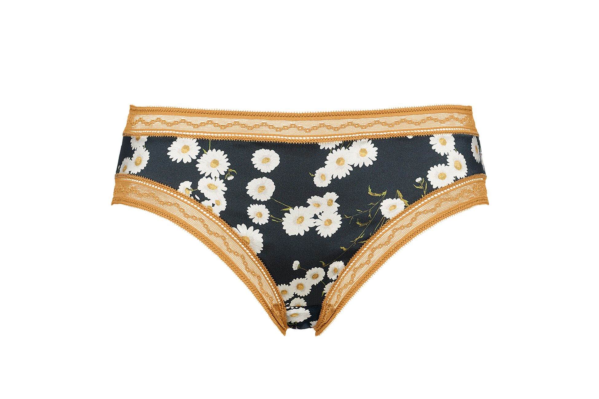 Serenade Briefs standard view �