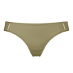 Salicorne