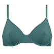 Menthe givr&eacute;e