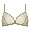 Salicorne