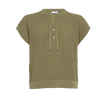 Salicorne