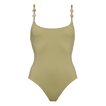 Alligator