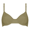 Salicorne