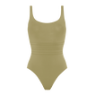 Alligator