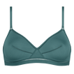 Menthe givr&eacute;e