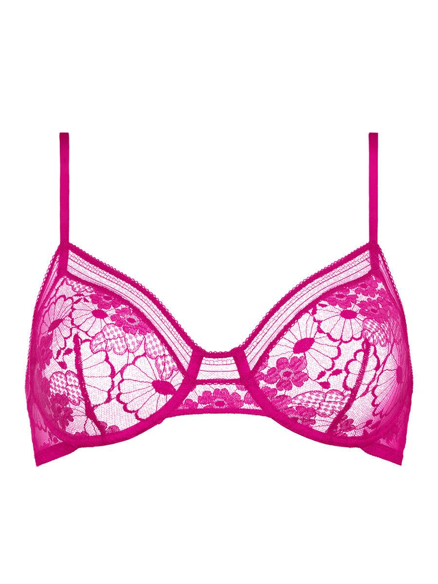 Chataigne Emboîtant vue standard NaN