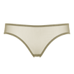 Salicorne