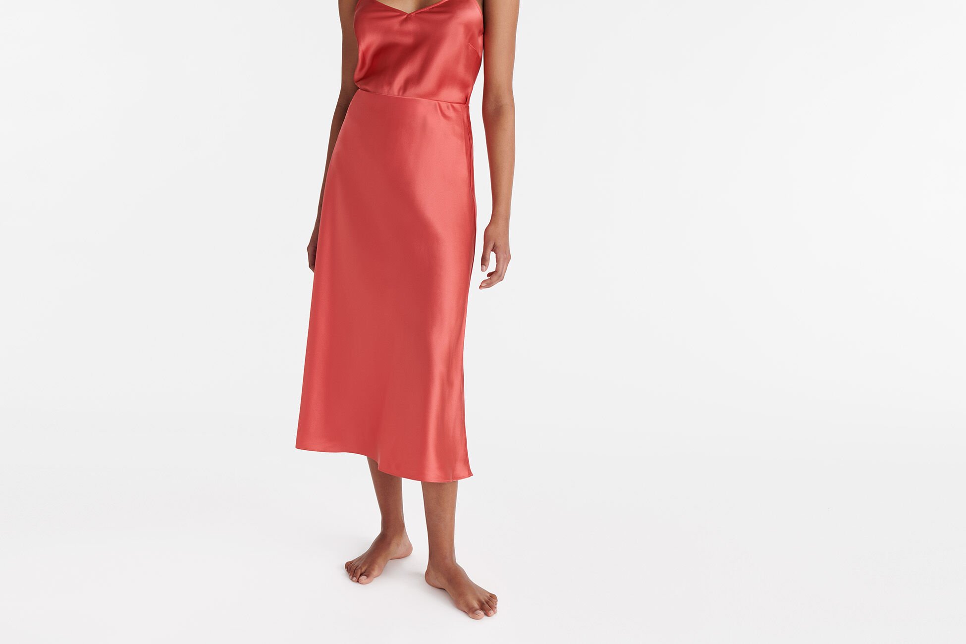 Cocktail Long skirt standard view NaN