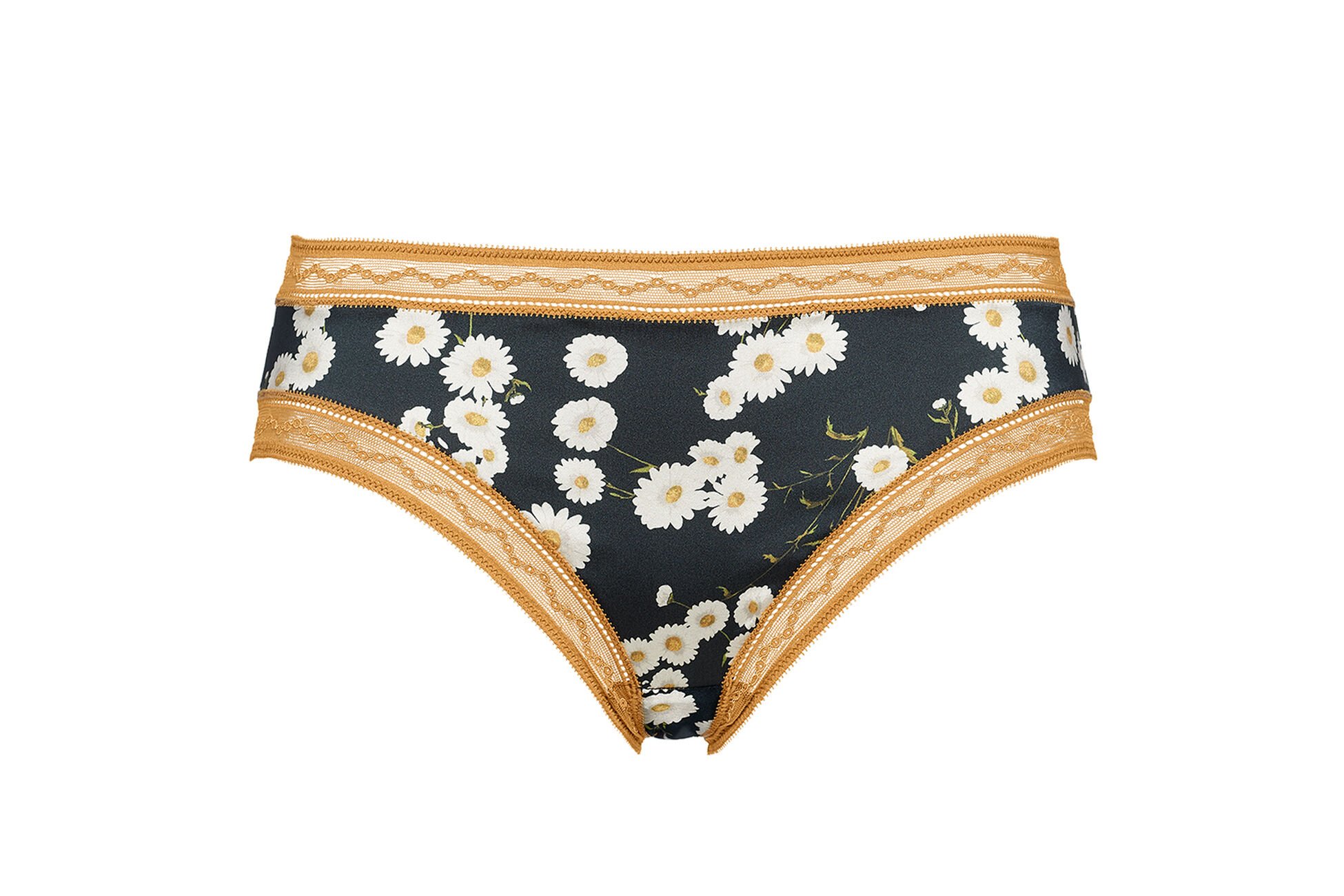 Serenade Briefs standard view NaN