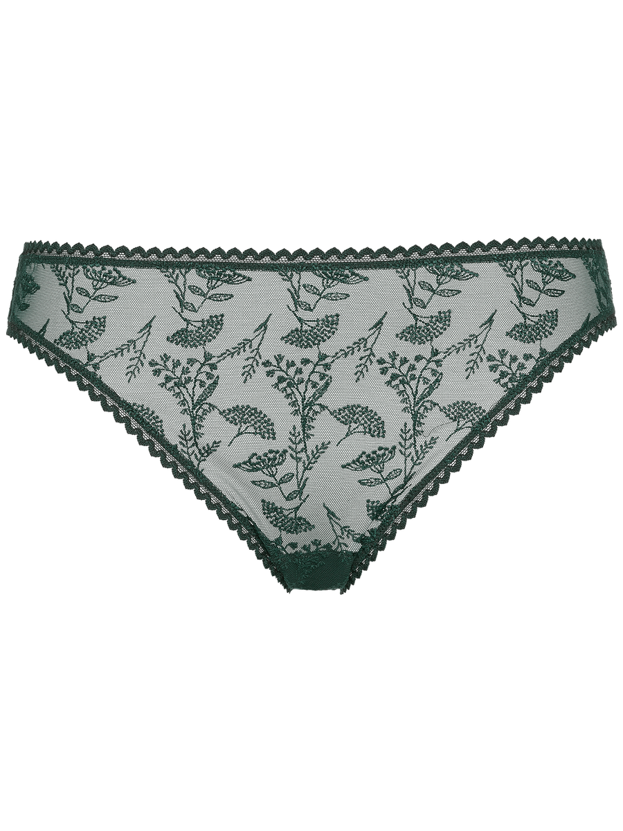 Bl&eacute; Culotte vue standard NaN