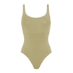 Alligator
