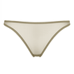 Salicorne